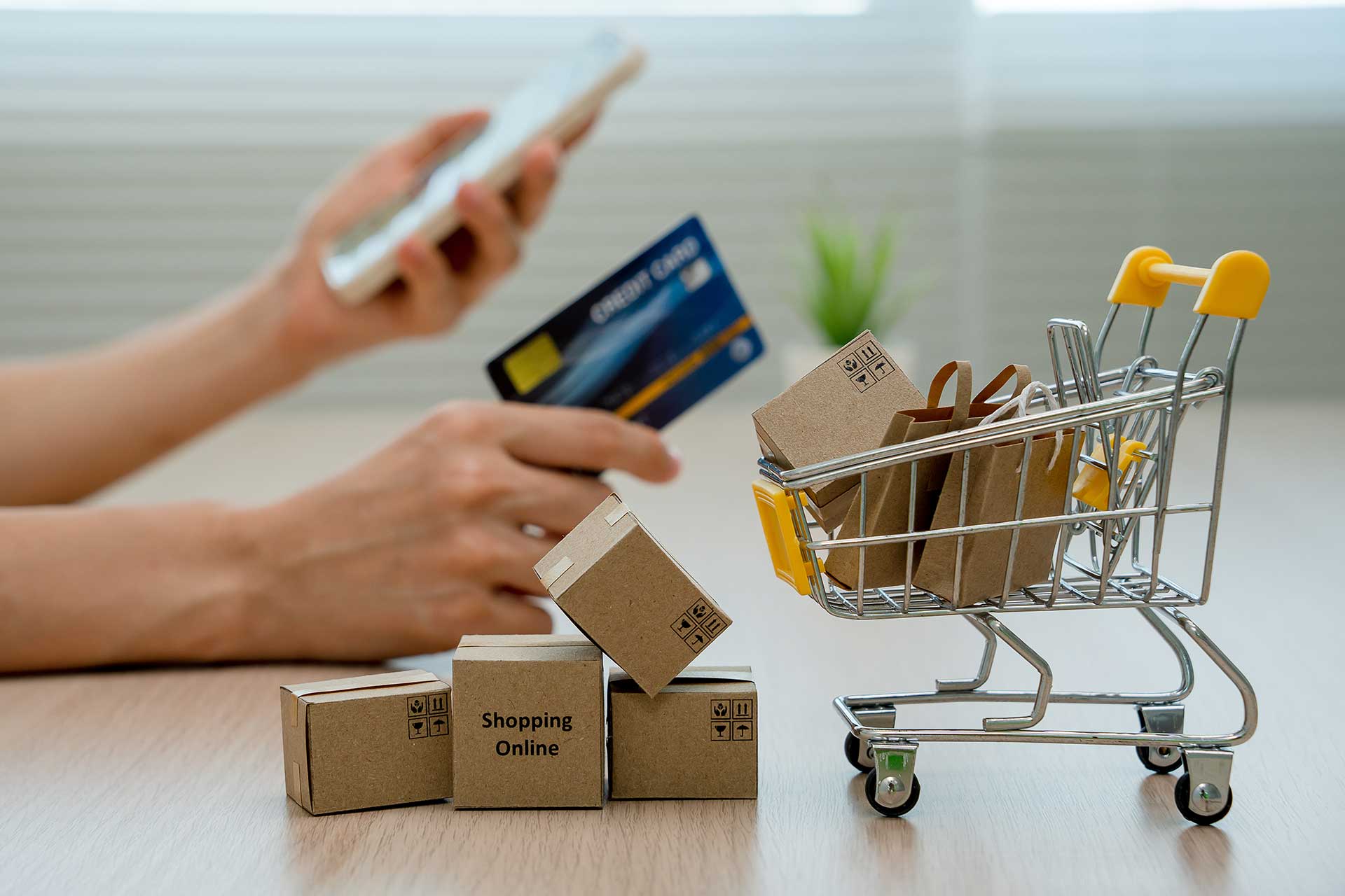 Marketplace Payments | Cloud Based Solution | IMS